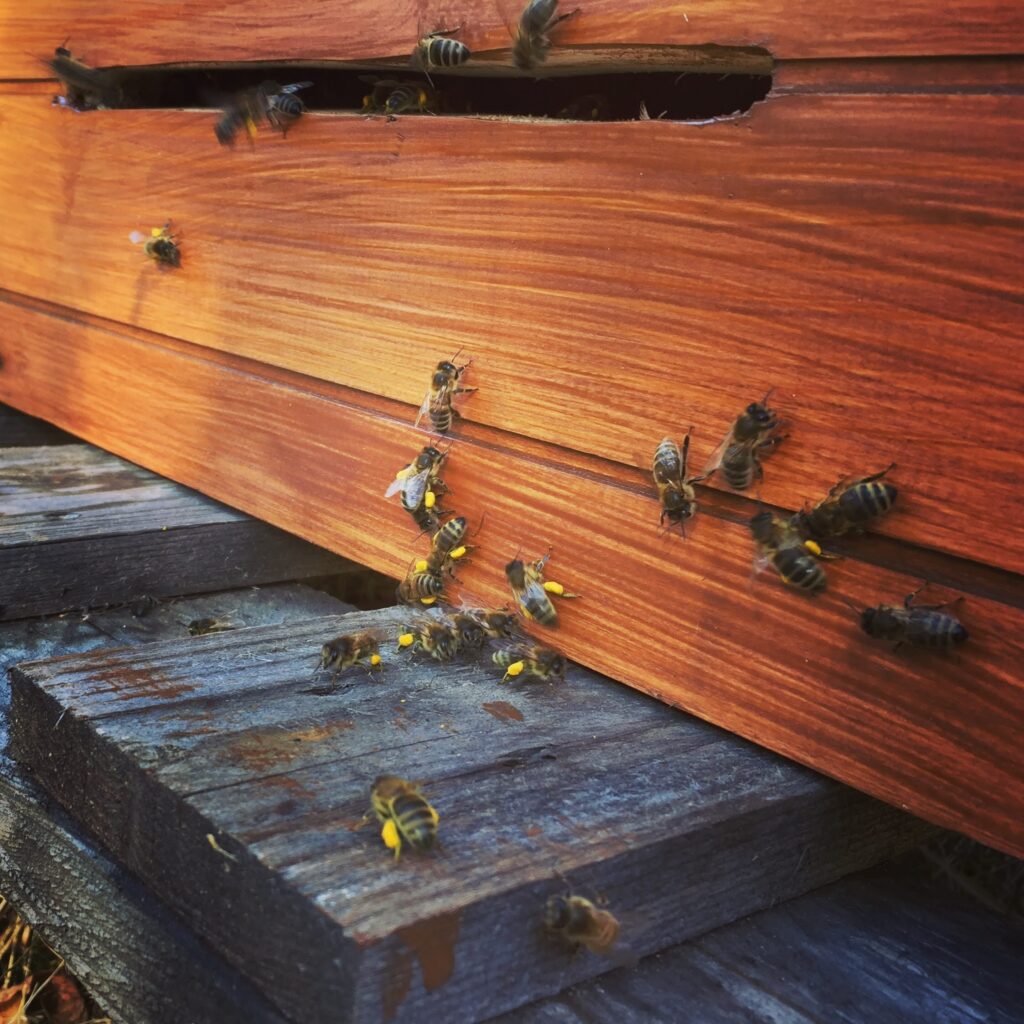 c4ce8ba2 b1c0 4985 af9e c1fa21b4b7fa